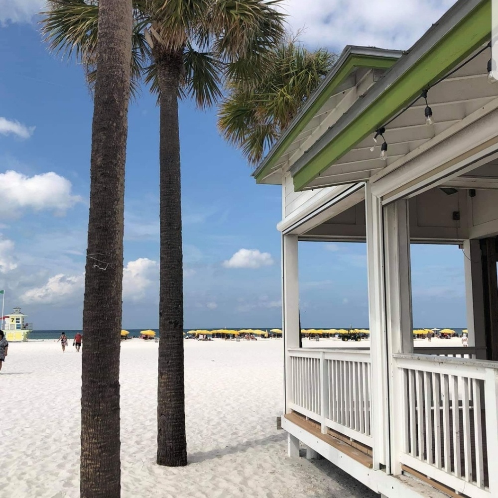 Meet your Posher, Brenda